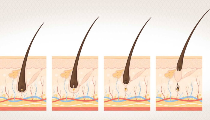 طرق علاج الشعر المتساقط