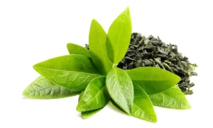 natural dht blocker green tea