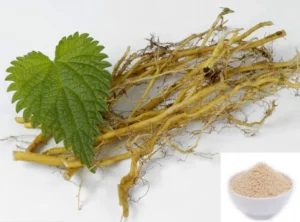 natural dht blocker isirgan otu